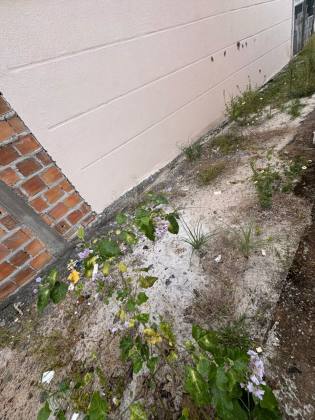 Casa em Abrantes 2/4