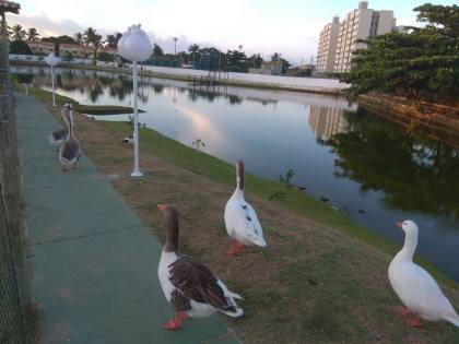 Reserva da Lagoa Residence | Lauro de Freitas