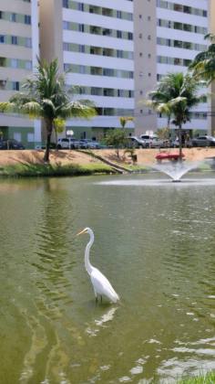 Reserva da Lagoa Residence | Lauro de Freitas