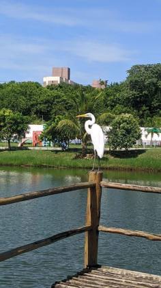 Reserva da Lagoa Residence | Lauro de Freitas