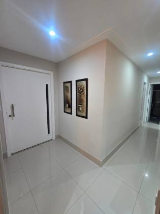Greenville ETCO I 3/4 - Patamares