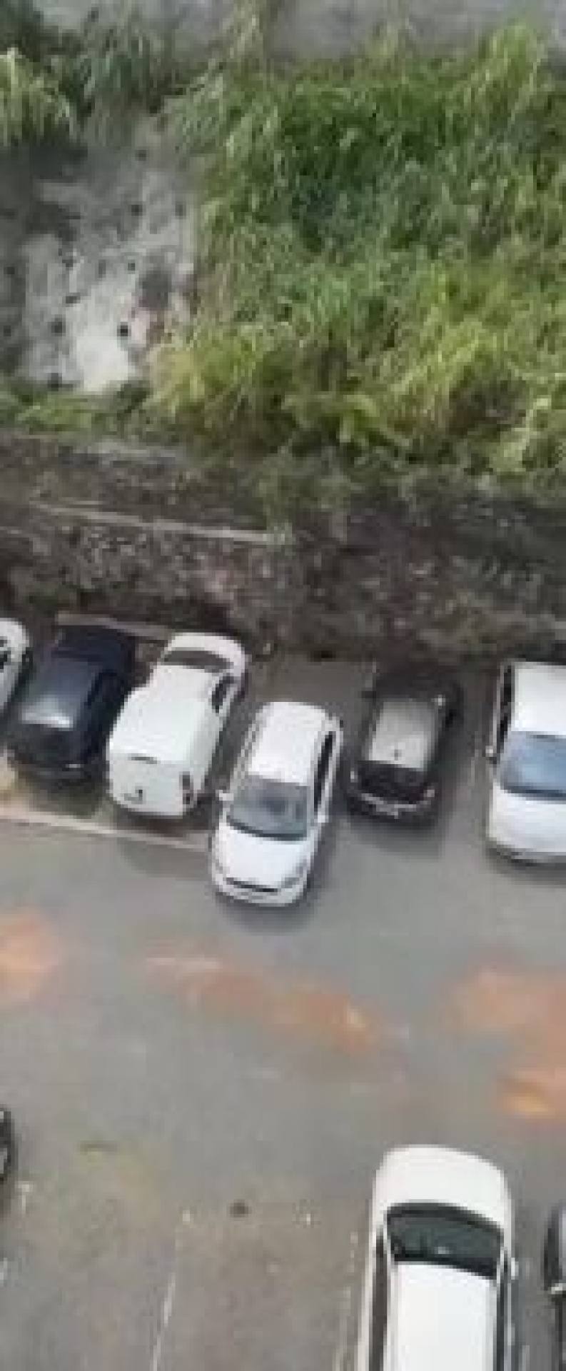 Federação 3/4