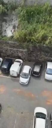 Federação 3/4