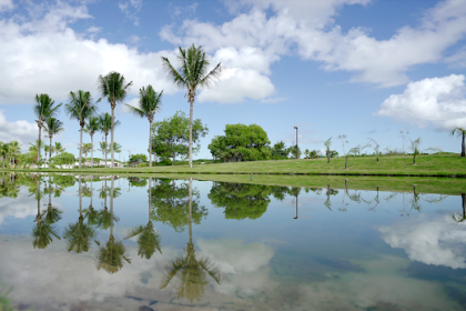 Lote -  Reserva Sauípe