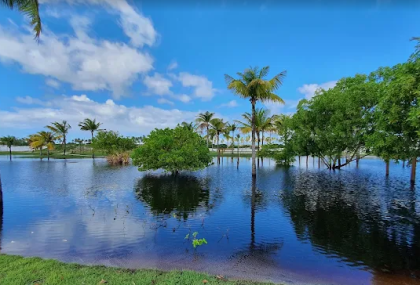 Lote -  Reserva Sauípe