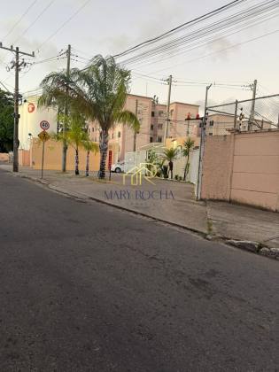 Alto do Picuaia | Caji 2/4