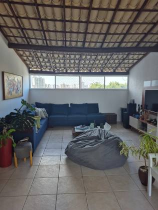 Apipema cobertura