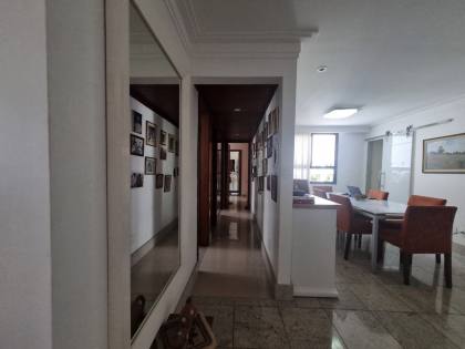 Mansão Caminho das Árvore