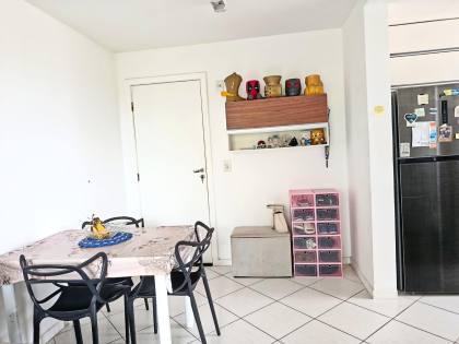 Pitangueiras ao lado da Unime 1/4