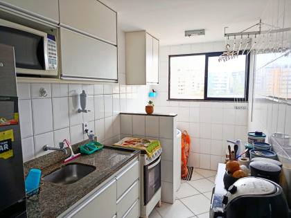 Pitangueiras ao lado da Unime 1/4