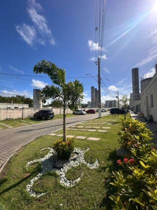Solar de Ibiza | Abrantes 2/4