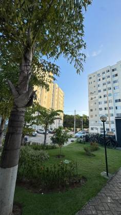Salvador Garden (Cassange) | 2/4