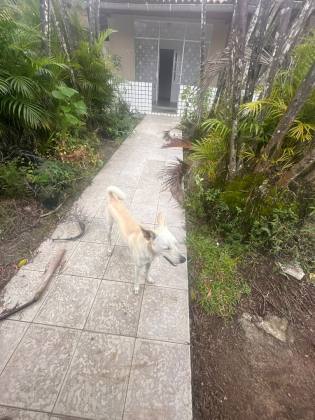 Casa 2/4 com suítes - Sete de Abril