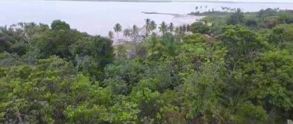 Terreno em Camamu - Ilha Pequena