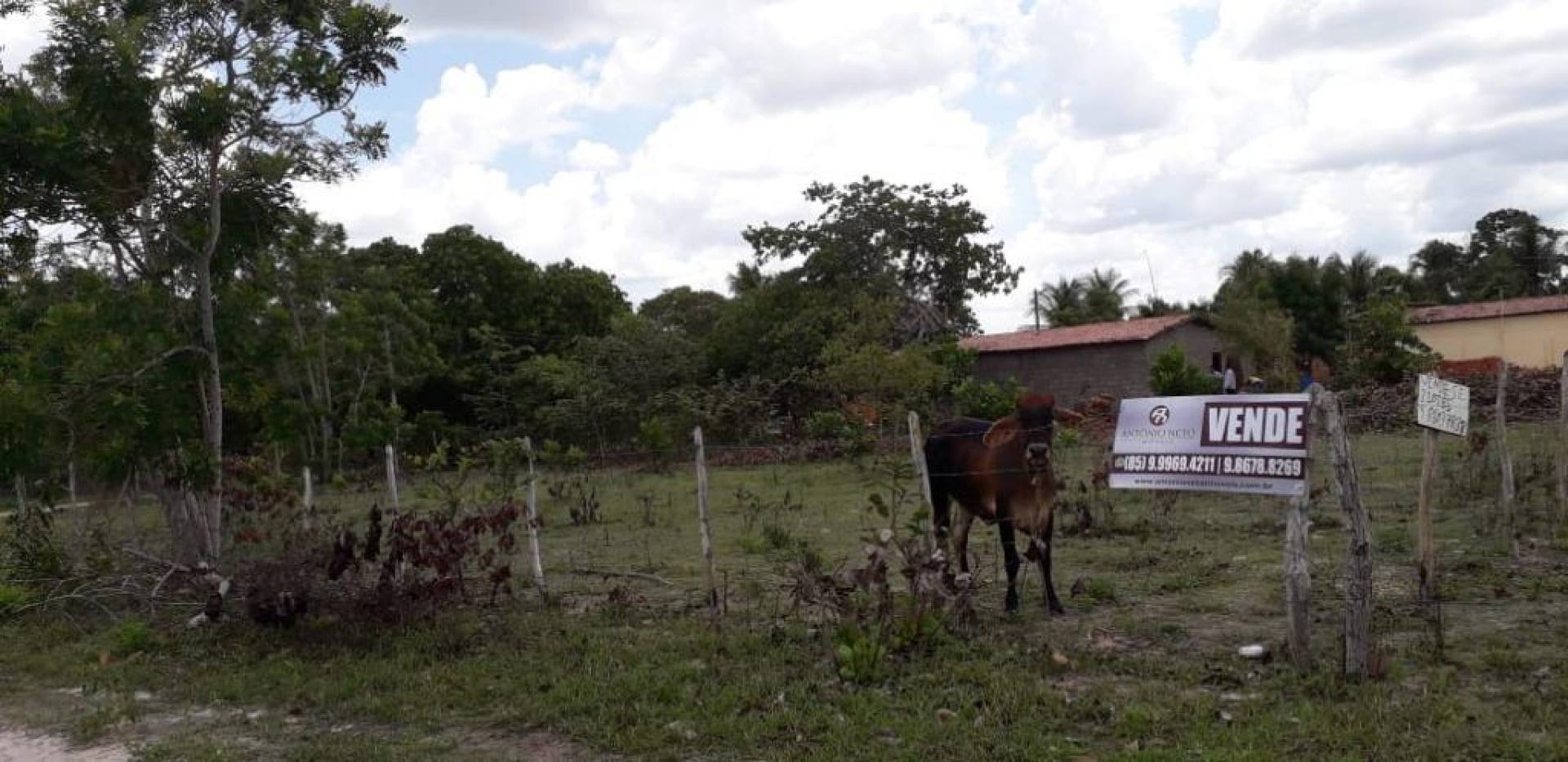 Terreno à venda, 1260 m² por R$ 55.000,00 - Dourado - Horizonte/CE