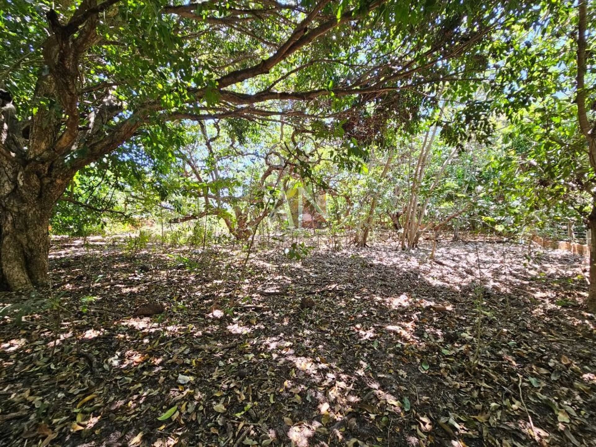 Terreno à venda, 8520 m² por R$ 3.950.000,00 - Lagoa Redonda - Fortaleza/CE