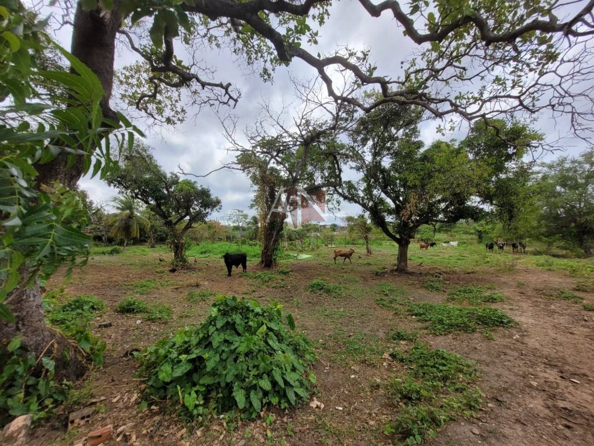 Terreno à venda, 42300 m² por R$ 15.840.000,00 - Aracapé - Fortaleza/CE