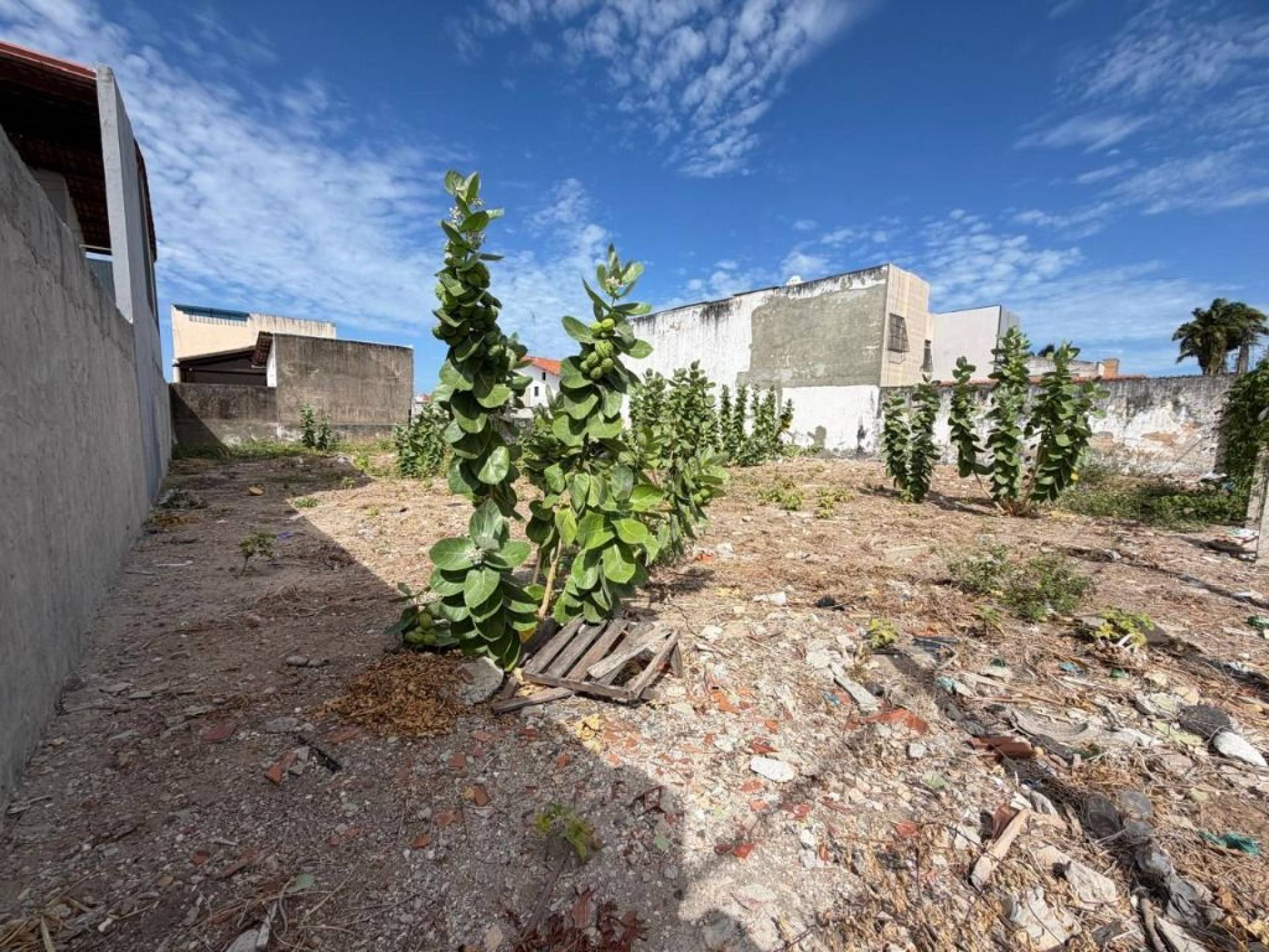 Terreno à venda, 600 m² por R$ 950.000,00 - Cambeba - Fortaleza/CE